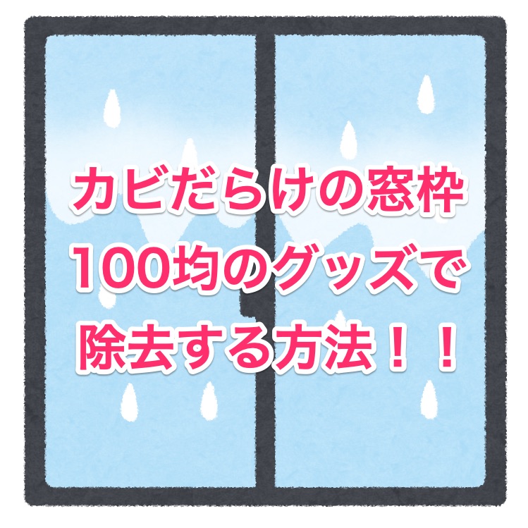 窓枠がカビだらけ 100均に売っているものでカビをなくそう ちしきのもり