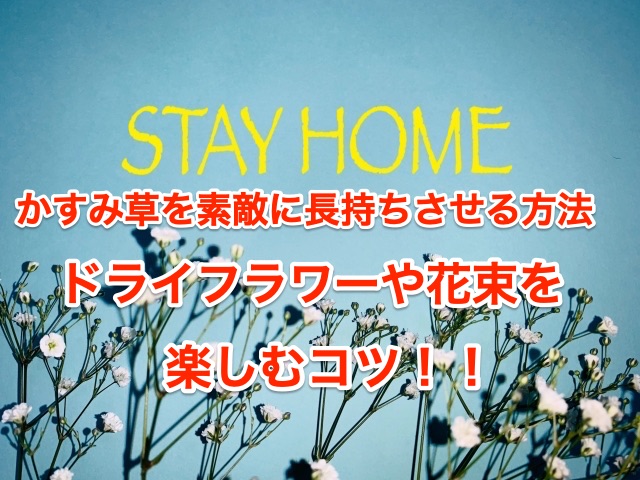 かすみ草を素敵に長持ちさせる方法 ドライフラワーや花束などを楽しむコツ紹介します ちしきのもり